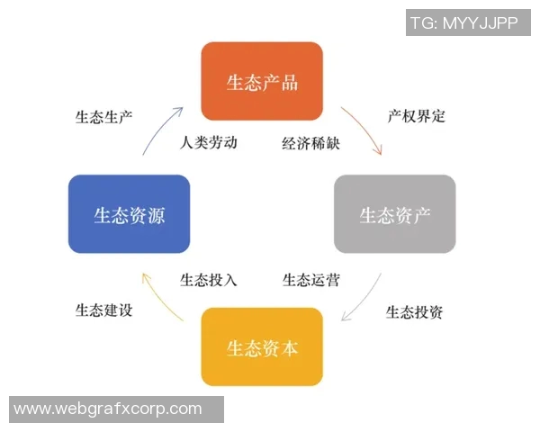 以可持续发展为导向的环境保护策略与未来生态文明建设路径分析